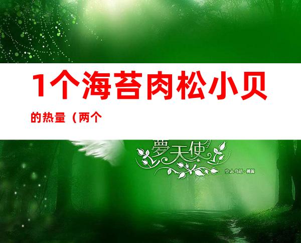 1个海苔肉松小贝的热量(两个海苔小贝的热量)