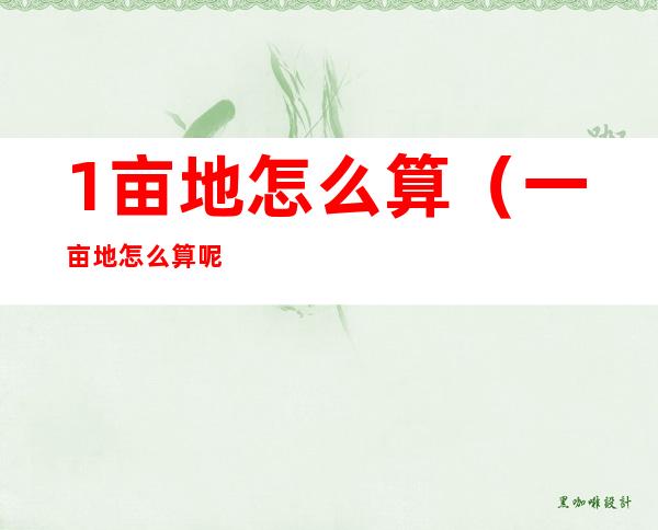 1亩地怎么算(一亩地怎么算呢)