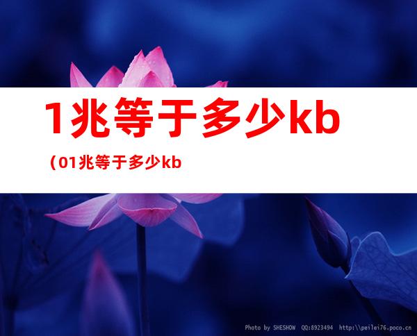 1兆等于多少kb(0.1兆等于多少kb)