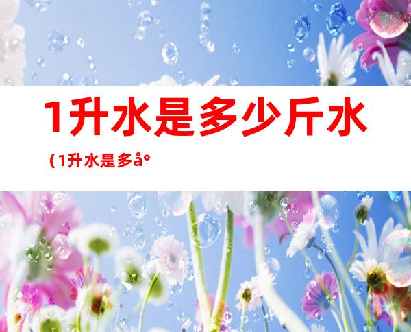 1升水是多少斤水（1升水是多少斤水,怎样称）
