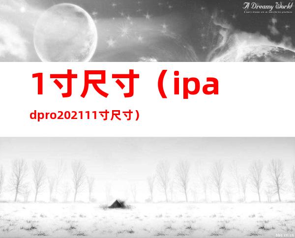 1寸尺寸(ipadpro2021 11寸尺寸)