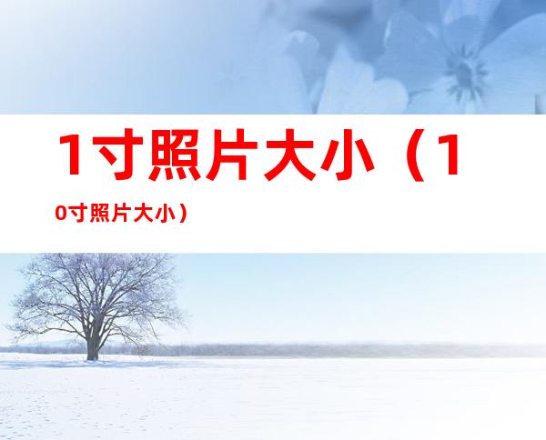 1寸照片大小（10寸照片大小）