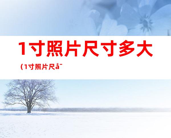 1寸照片尺寸多大（1寸照片尺寸多大px）
