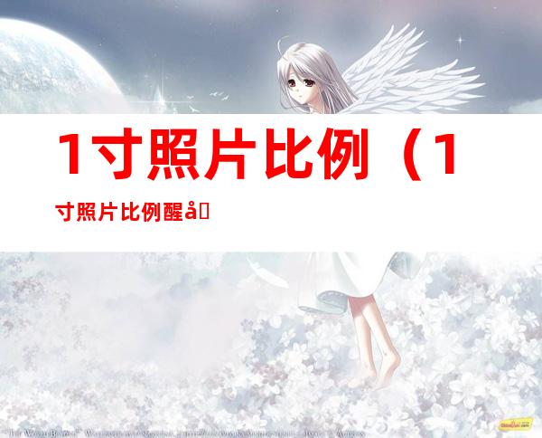 1寸照片比例(1寸照片比例醒图)
