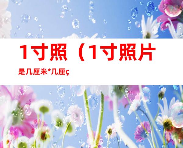 1寸照(1寸照片是几厘米*几厘米)