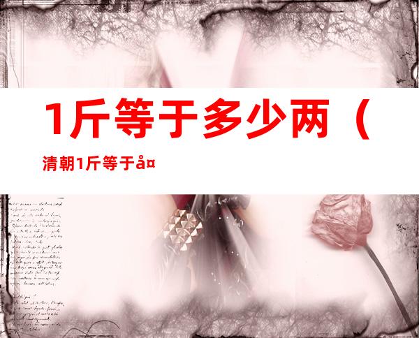 1斤等于多少两（清朝1斤等于多少两）