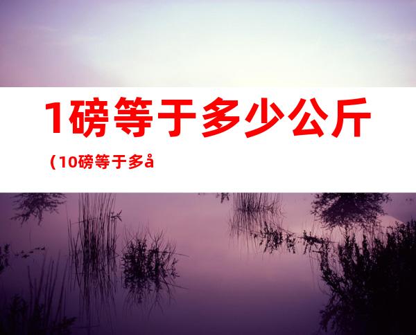 1磅等于多少公斤(10磅等于多少公斤)