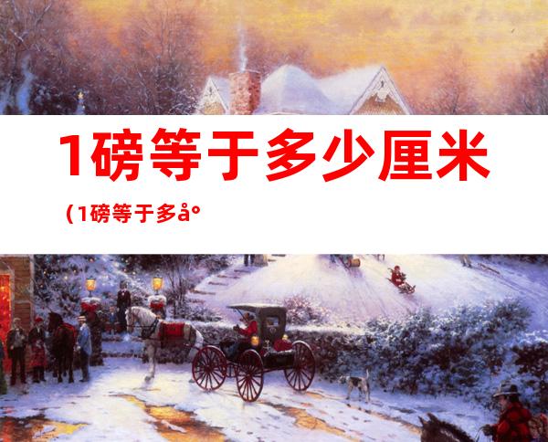 1磅等于多少厘米(1磅等于多少厘米长)