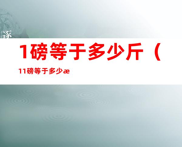 1磅等于多少斤（11磅等于多少斤）