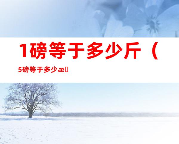 1磅等于多少斤（5磅等于多少斤）