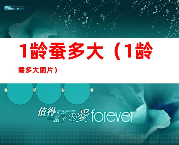 1龄蚕多大(1龄蚕多大图片)