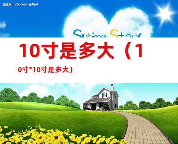 10寸是多大(10寸*10寸是多大)