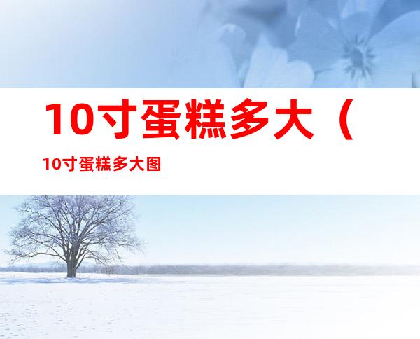 10寸蛋糕多大(10寸蛋糕多大图片)