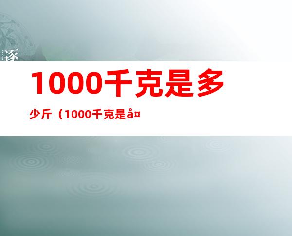 1000千克是多少斤(1000千克是多少公斤)