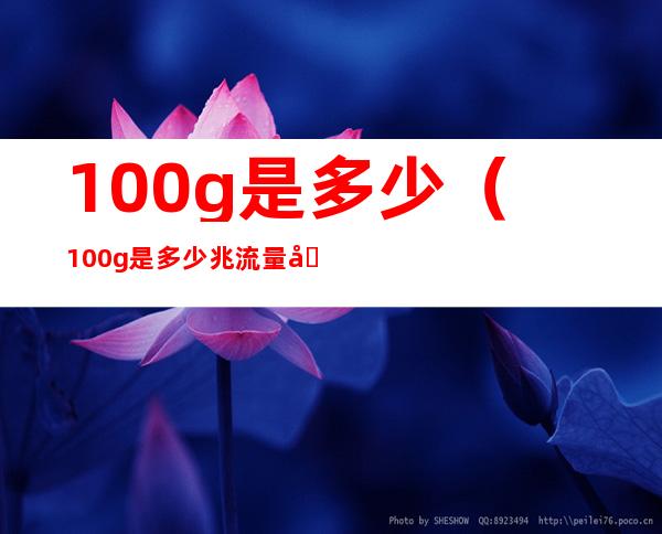 100g是多少(100g是多少兆流量啊)
