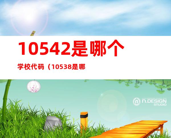 10542是哪个学校代码(10538是哪个学校代码)