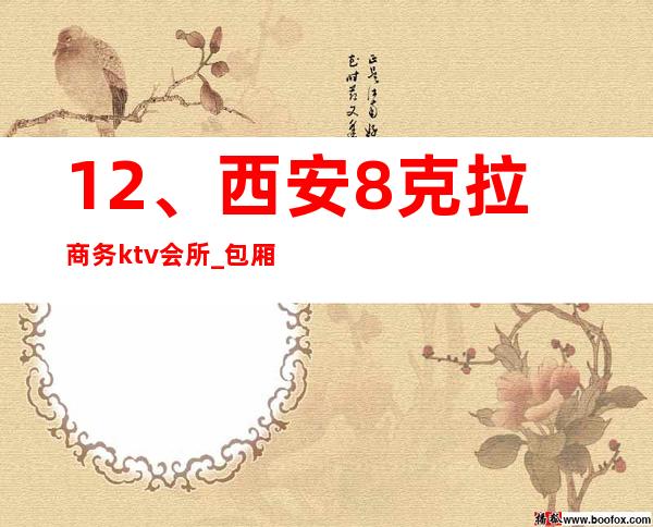 12、西安8克拉商务ktv会所_ 包厢电话预订 – 西安莲湖西大街商务KTV