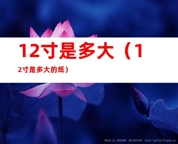 12寸是多大(12寸是多大的纸)