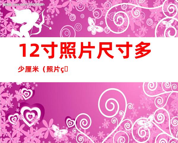 12寸照片尺寸多少厘米(照片的12寸是多少厘米)
