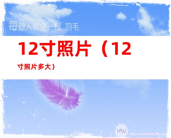 12寸照片(12寸照片多大)