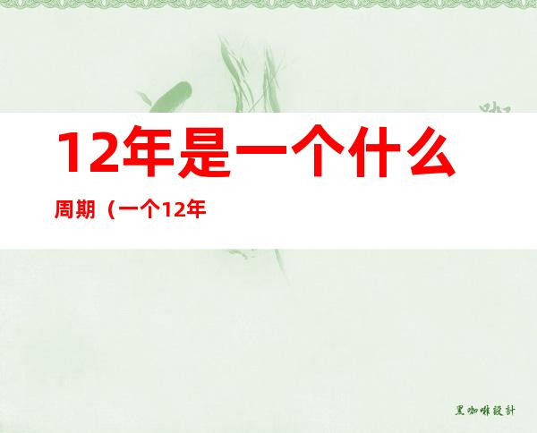 12年是一个什么周期(一个12年是什么年)