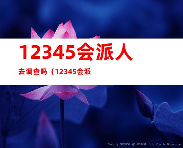 12345会派人去调查吗(12345会派人去调查吗在九襄)