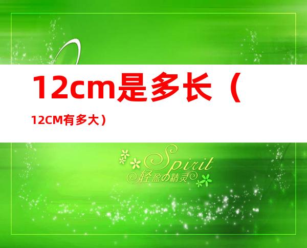 12cm是多长(12CM有多大)