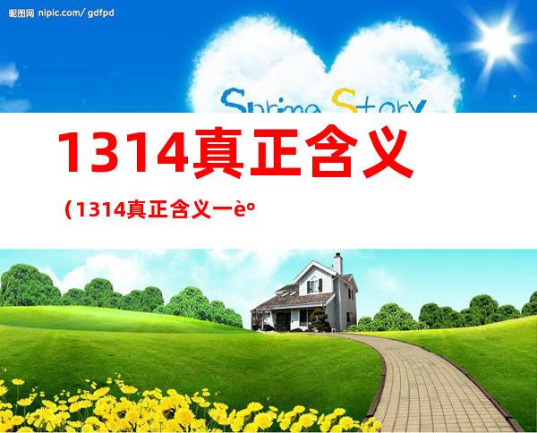 1314真正含义(1314真正含义一身孤独)