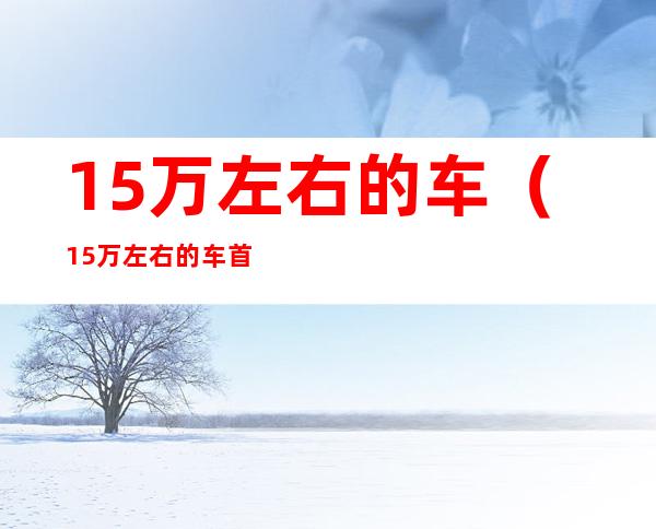 15万左右的车(15万左右的车首付多少月供多少)
