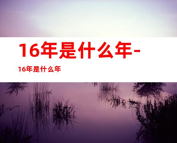 16年是什么年-16年是什么年