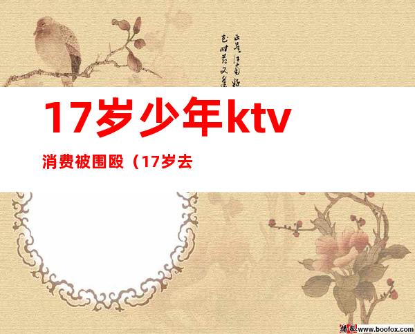17岁少年ktv消费被围殴(17岁去ktv玩犯法吗)