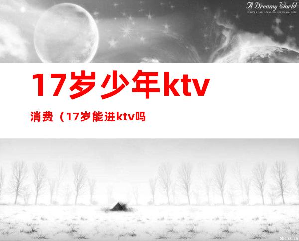 17岁少年ktv消费（17岁能进ktv吗）