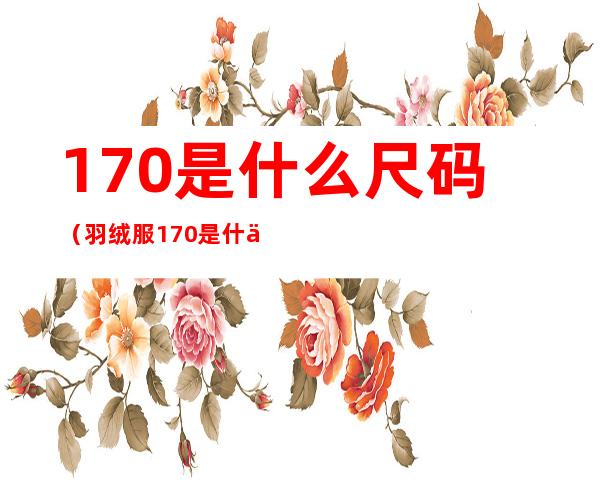 170是什么尺码(羽绒服170是什么尺码)