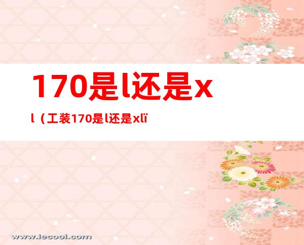 170是l还是xl（工装170是l还是xl）