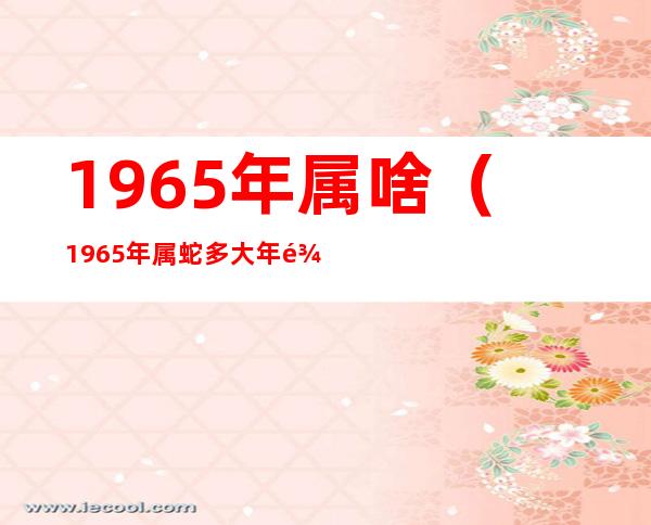 1965年属啥（1965年属蛇多大年龄）