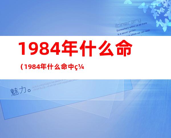 1984年什么命(1984年什么命中缺什么)