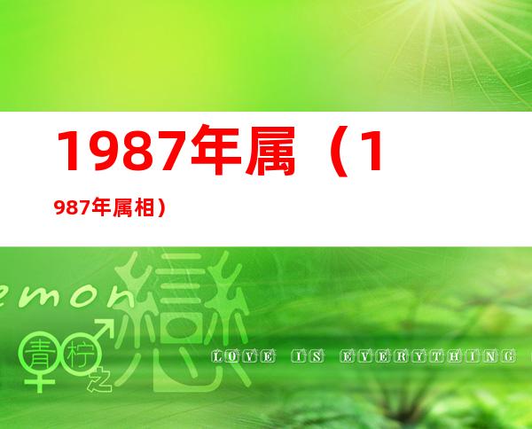 1987年属(1987年属相)