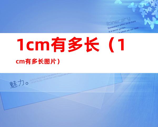 1cm有多长(1cm有多长图片)