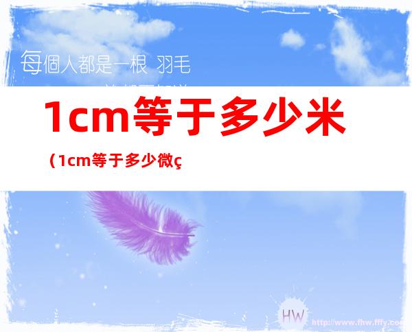 1cm等于多少米（1cm等于多少微米）