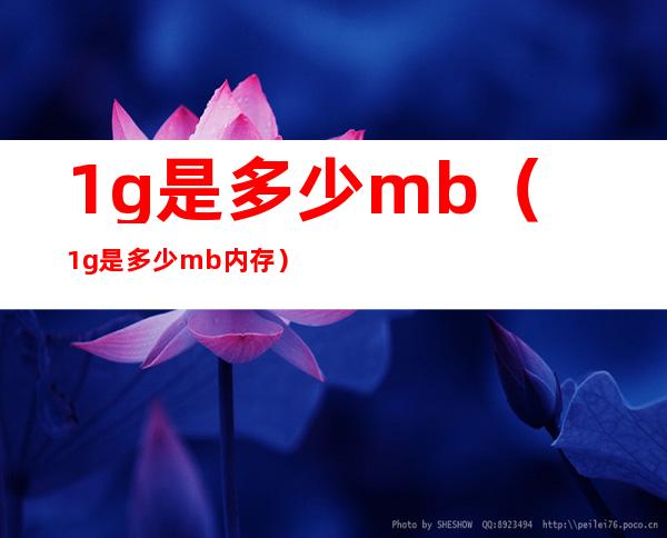 1g是多少mb(1g是多少mb内存)