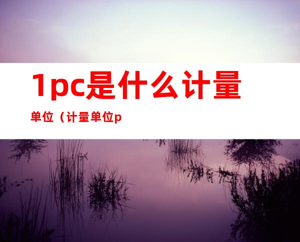 1pc是什么计量单位（计量单位pc是啥意思）