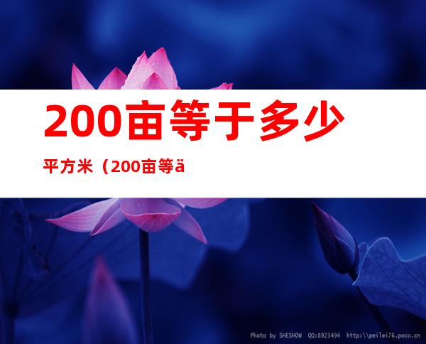 200亩等于多少平方米(200亩等于多少平方米公里)