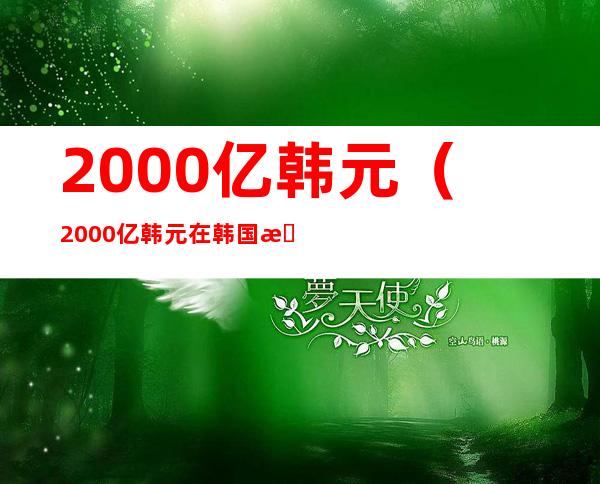 2000亿韩元(2000亿韩元在韩国是什么水平)
