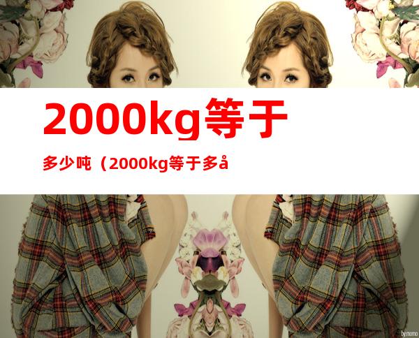 2000kg等于多少吨(2000kg等于多少千克)