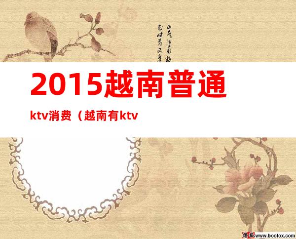 2015越南普通ktv消费(越南有ktv吗)