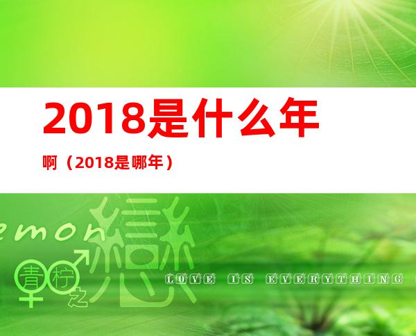 2018是什么年啊(2018是哪年)