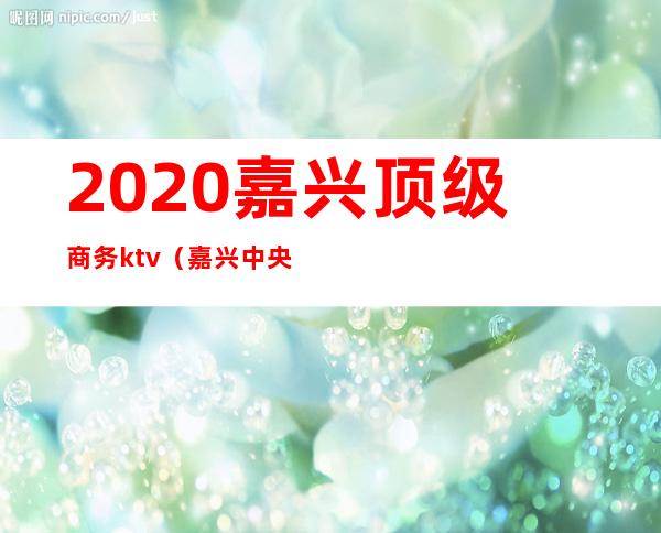 2020嘉兴顶级商务ktv(嘉兴中央商务区)