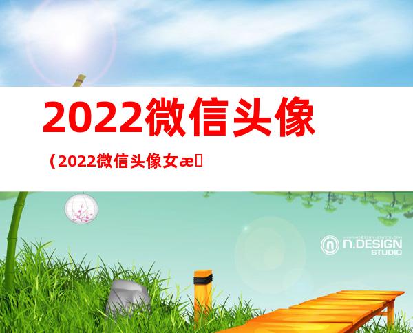 2022微信头像(2022微信头像女最新版的)