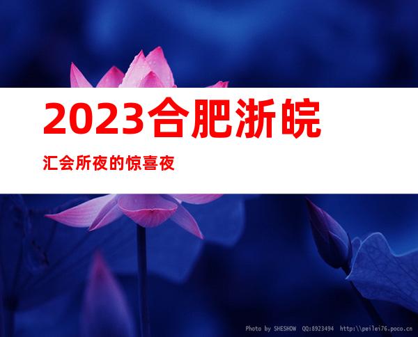 2023合肥浙皖汇会所夜的惊喜夜总会节目有趣 – 合肥庐阳亳州路商务KTV