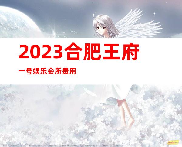 2023合肥王府一号娱乐会所费用很实惠夜总会网红舞 – 合肥包河合家福购物街商务KTV